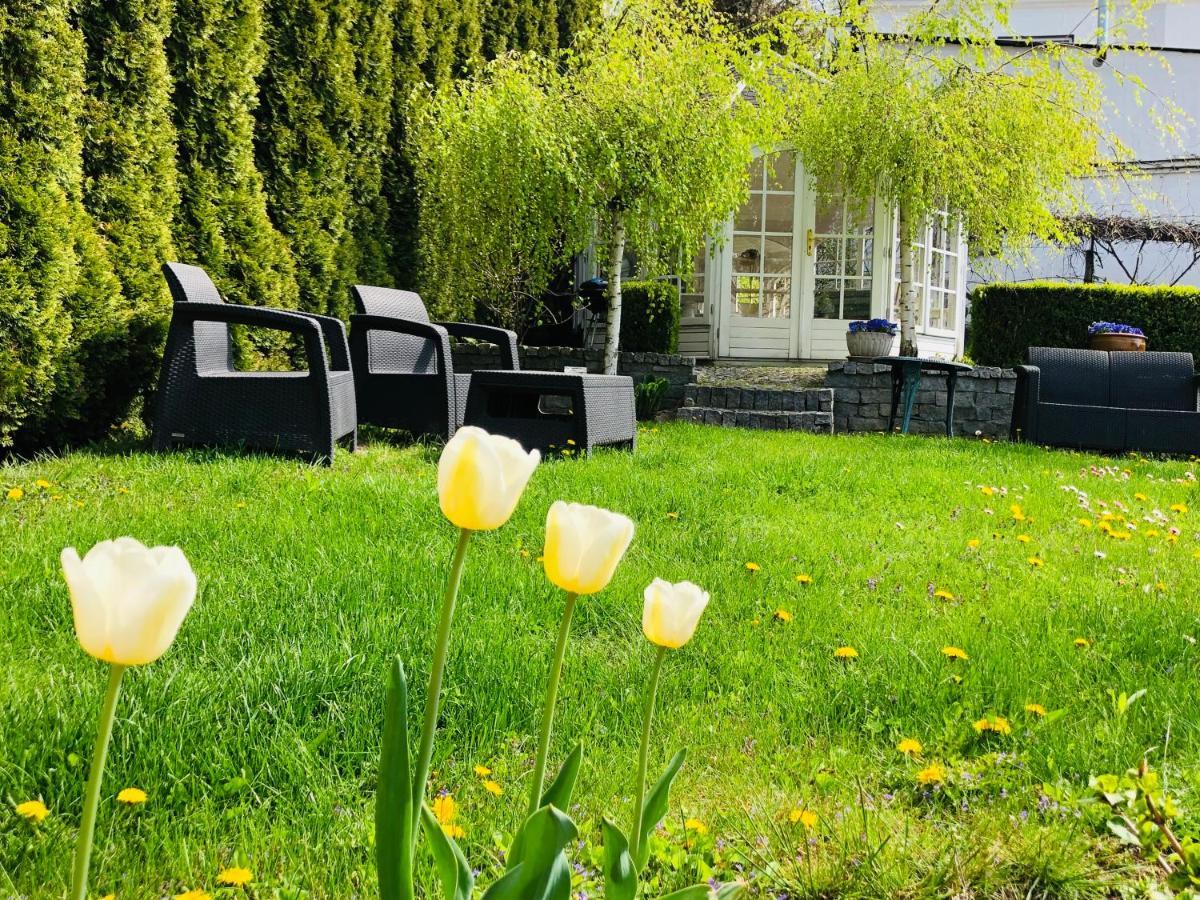 Bed & Breakfast Halina Sandomierz